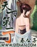 《天下第一丁》
