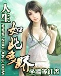《人生如此多娇》