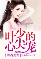 独占爱妻,叶少的心尖宠