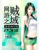 网游之贼域