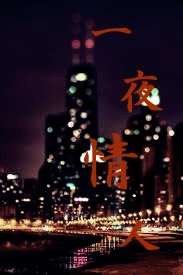 一 夜 情人
