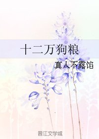 《十二万狗粮》