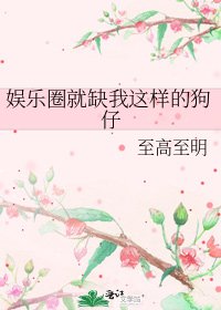 娱乐圈就缺我这样的狗仔