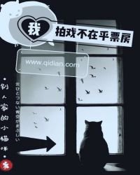 《我拍戲不在乎票房》