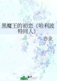 《黑魔王的初戀(哈利波特同人)》