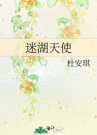 迷湖天使