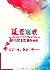 覓愛追歡