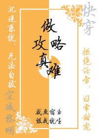 块穿之做共略真难