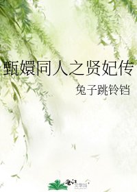 甄嬛同人之贤妃传