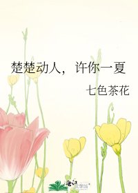 楚楚动人,许你一夏