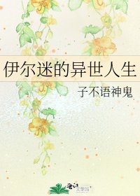 伊爾迷的異世人生
