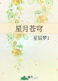 星月苍穹