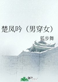 《楚凤吟(男穿女)》