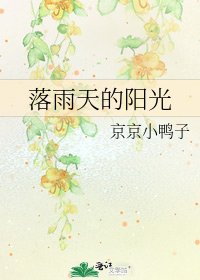 落雨天的陽光