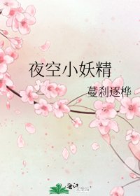 夜空小妖精