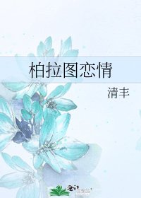 《柏拉图恋情》