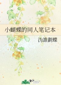 小蝴蝶的同人笔记本