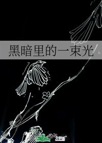 《黑暗里的一束光》