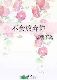 《不會放棄你》