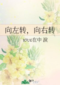 向左转,向右转