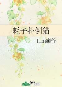 耗子扑倒猫