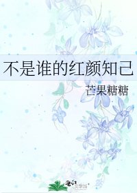 不是谁的红颜知己