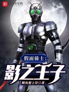 (假面骑士同人)假面骑士:影之王子