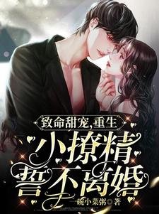 致命甜宠,重生小撩精誓不离婚
