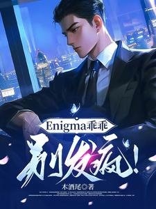 Enigma乖乖,别发疯!