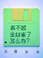 养不起金丝雀了怎么办?