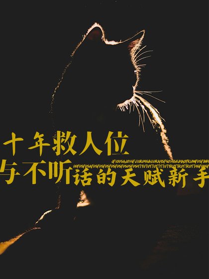 驯氟傲蕉新手的方法