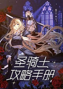 圣骑士共略手册