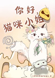 你好,猫咪小姐