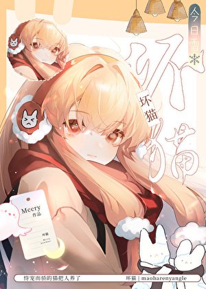 坏猫