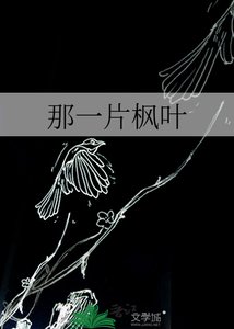 那一片枫叶