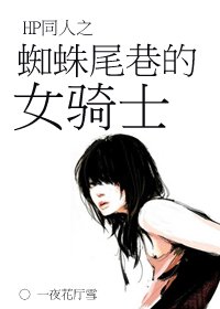 (HP同人/BG)HP同人之蜘蛛尾巷的女騎士